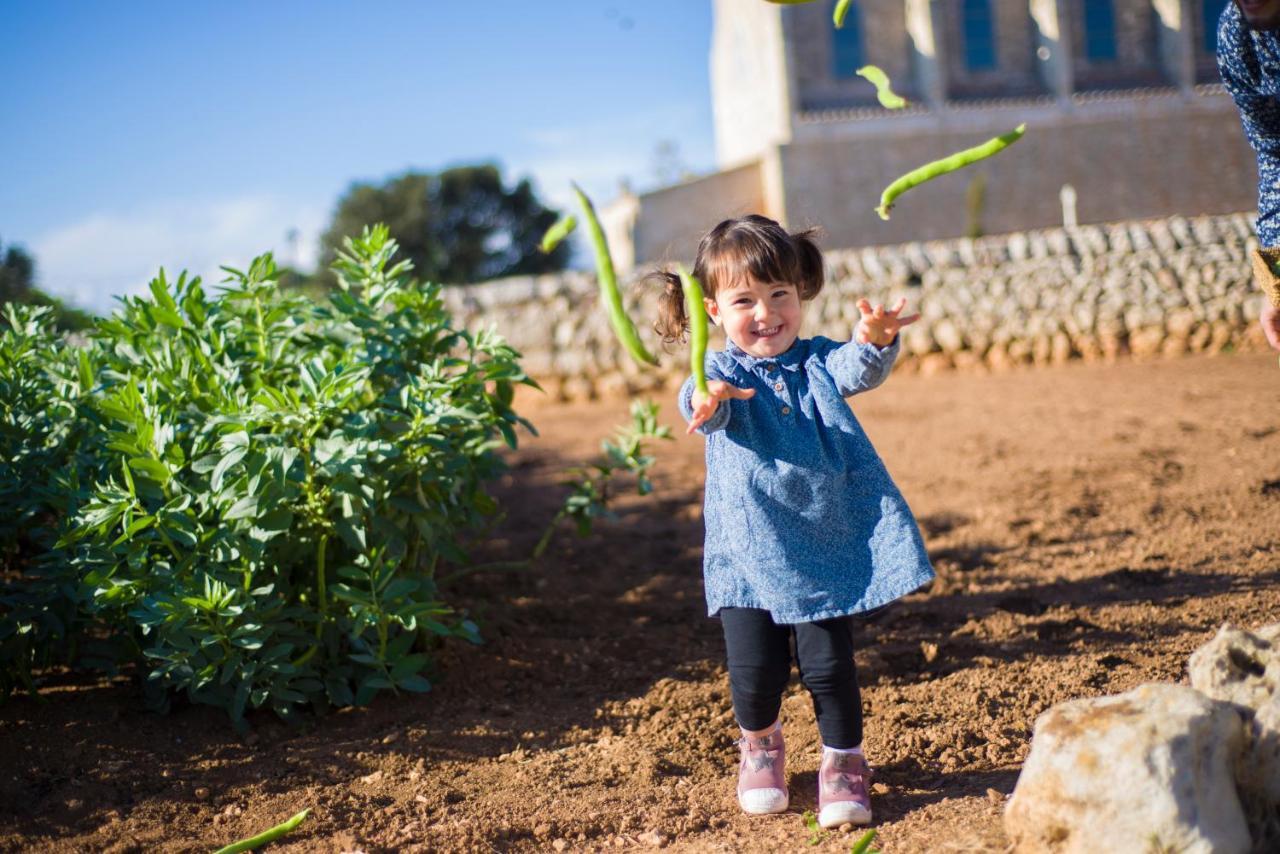 Llucmacanes Gran Agroturismo ماهون المظهر الخارجي الصورة