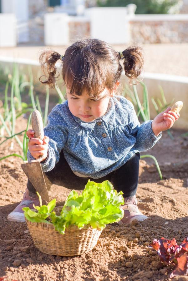 Llucmacanes Gran Agroturismo ماهون المظهر الخارجي الصورة