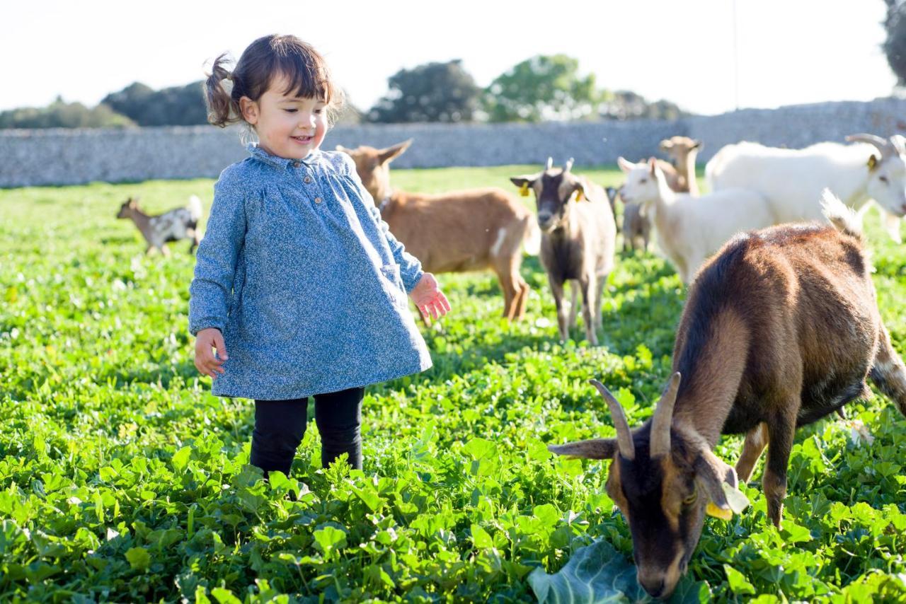 Llucmacanes Gran Agroturismo ماهون المظهر الخارجي الصورة