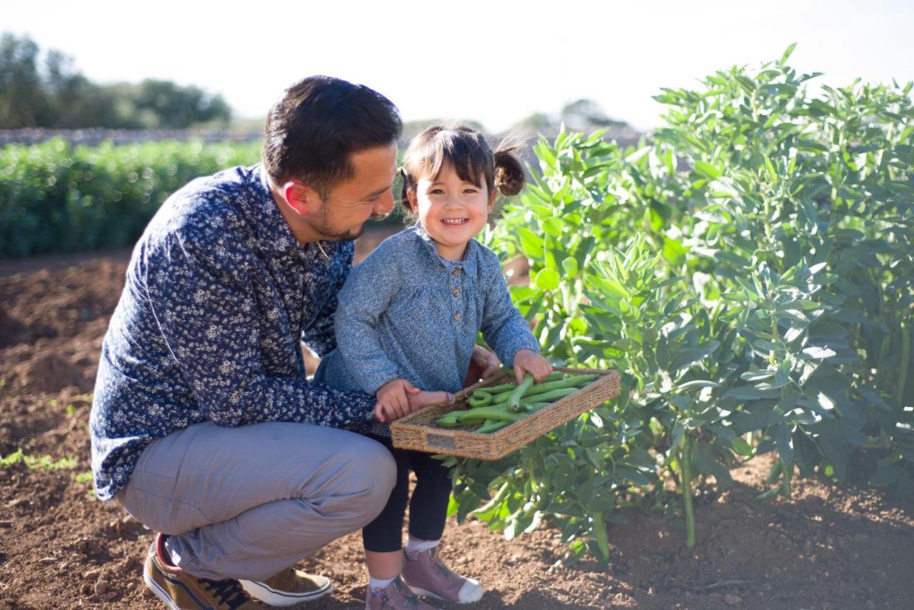 Llucmacanes Gran Agroturismo ماهون المظهر الخارجي الصورة