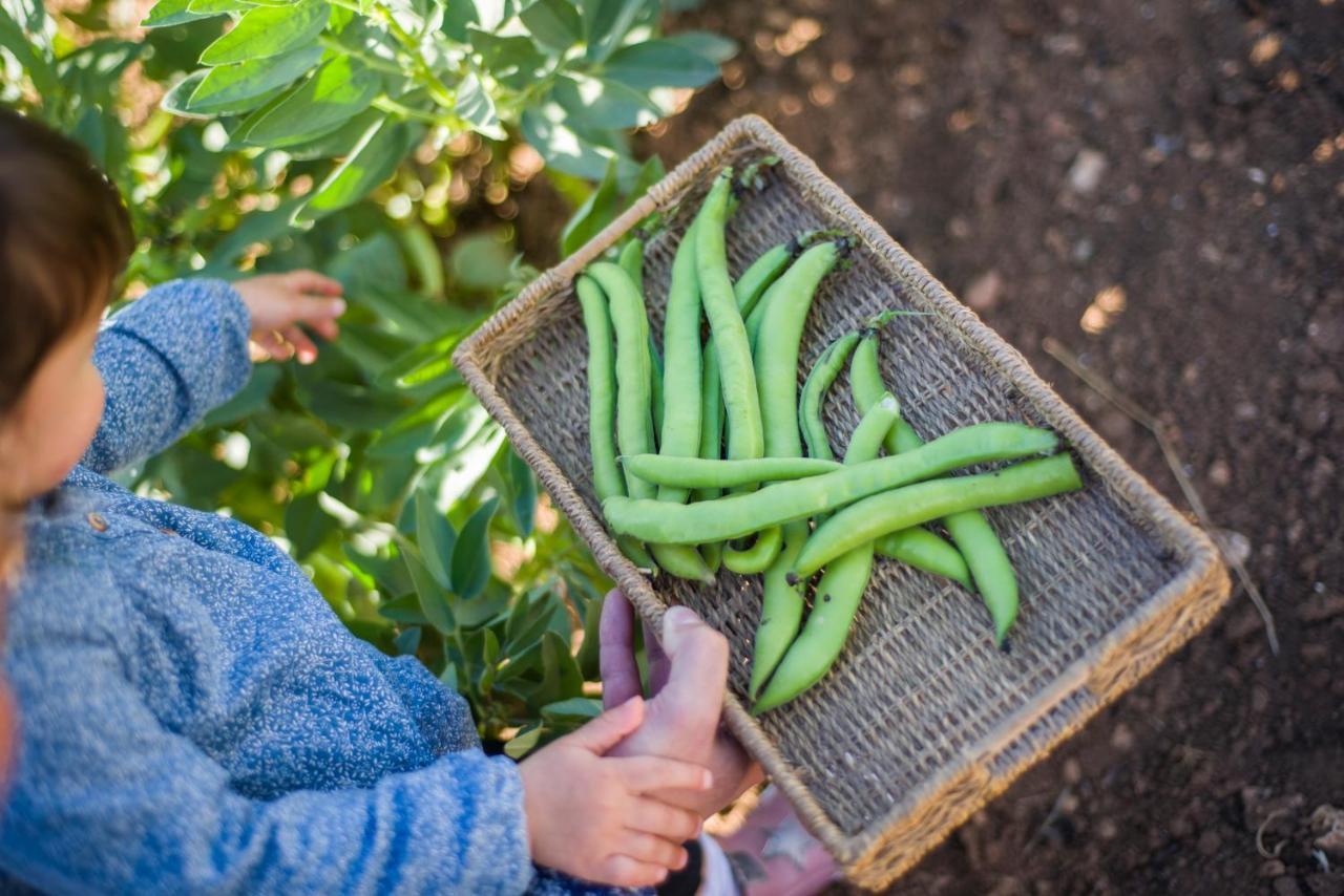 Llucmacanes Gran Agroturismo ماهون المظهر الخارجي الصورة