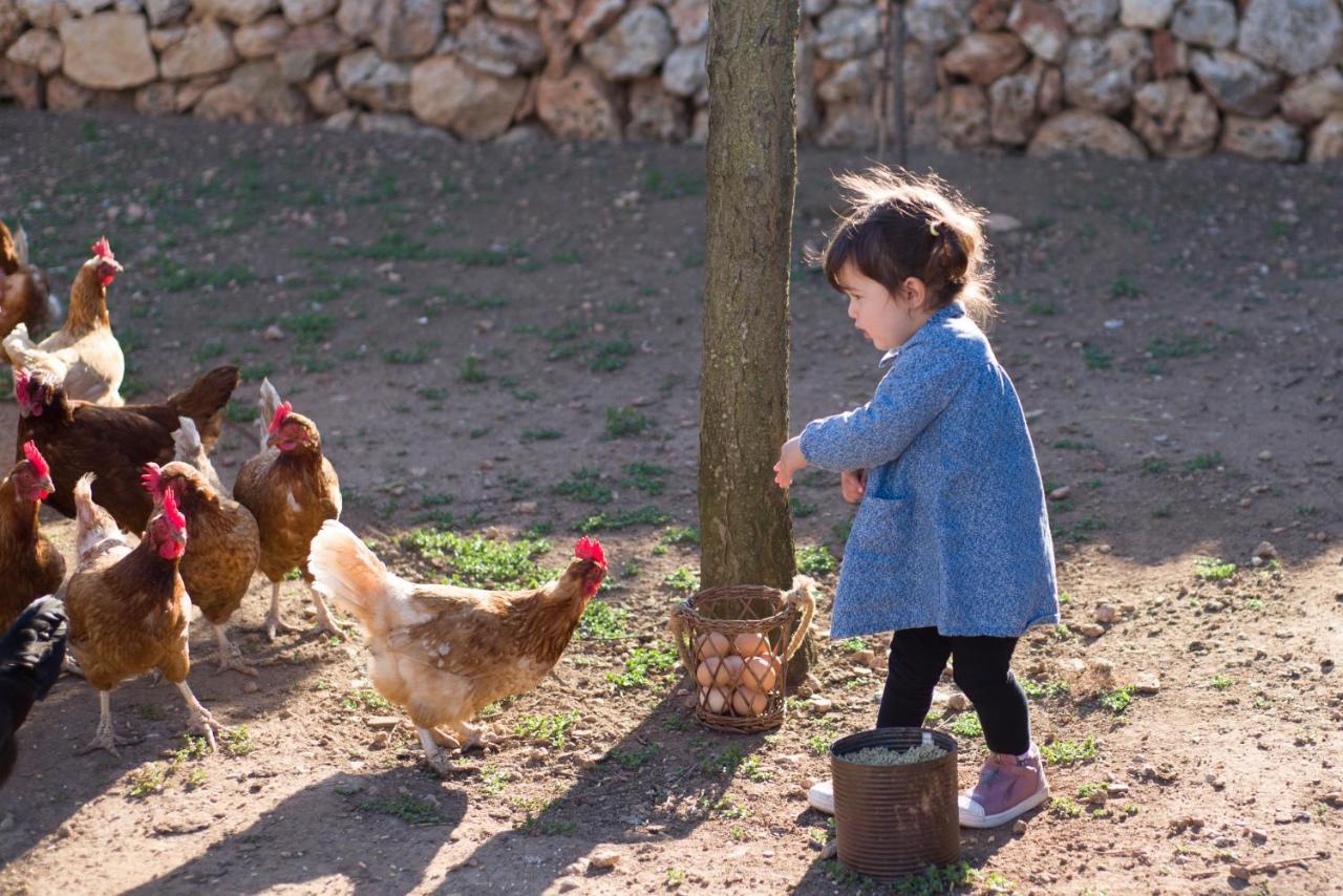 Llucmacanes Gran Agroturismo ماهون المظهر الخارجي الصورة
