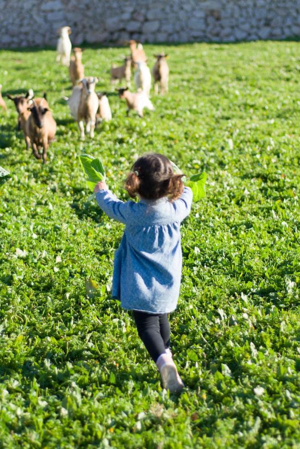Llucmacanes Gran Agroturismo ماهون المظهر الخارجي الصورة