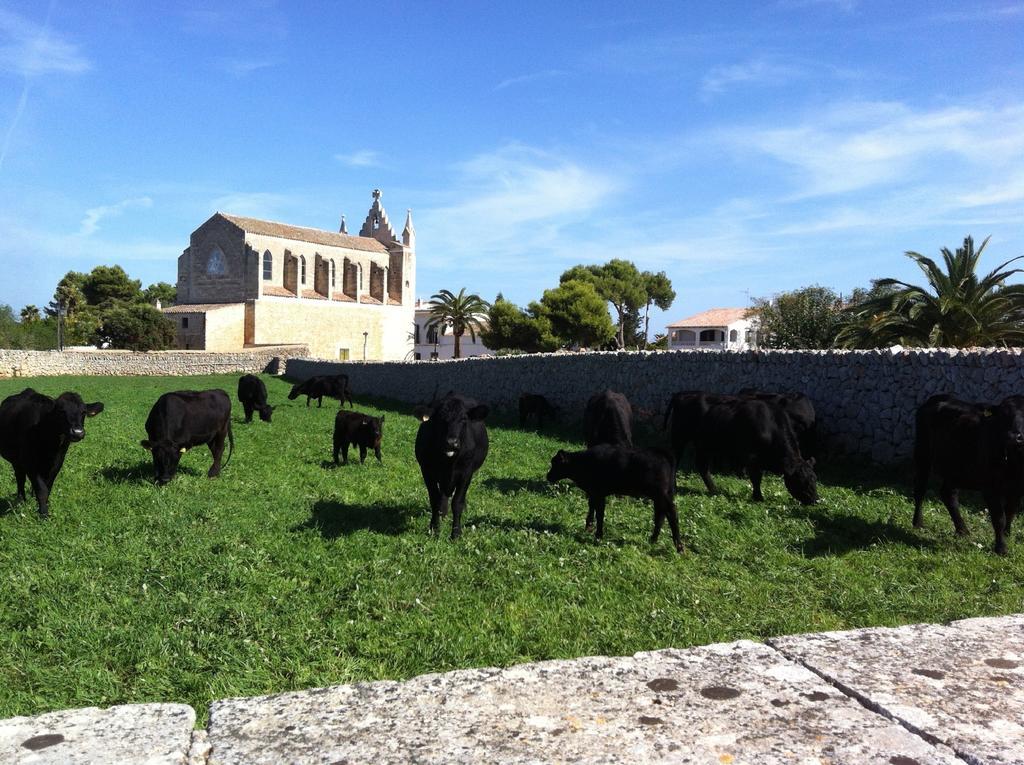 Llucmacanes Gran Agroturismo ماهون المظهر الخارجي الصورة