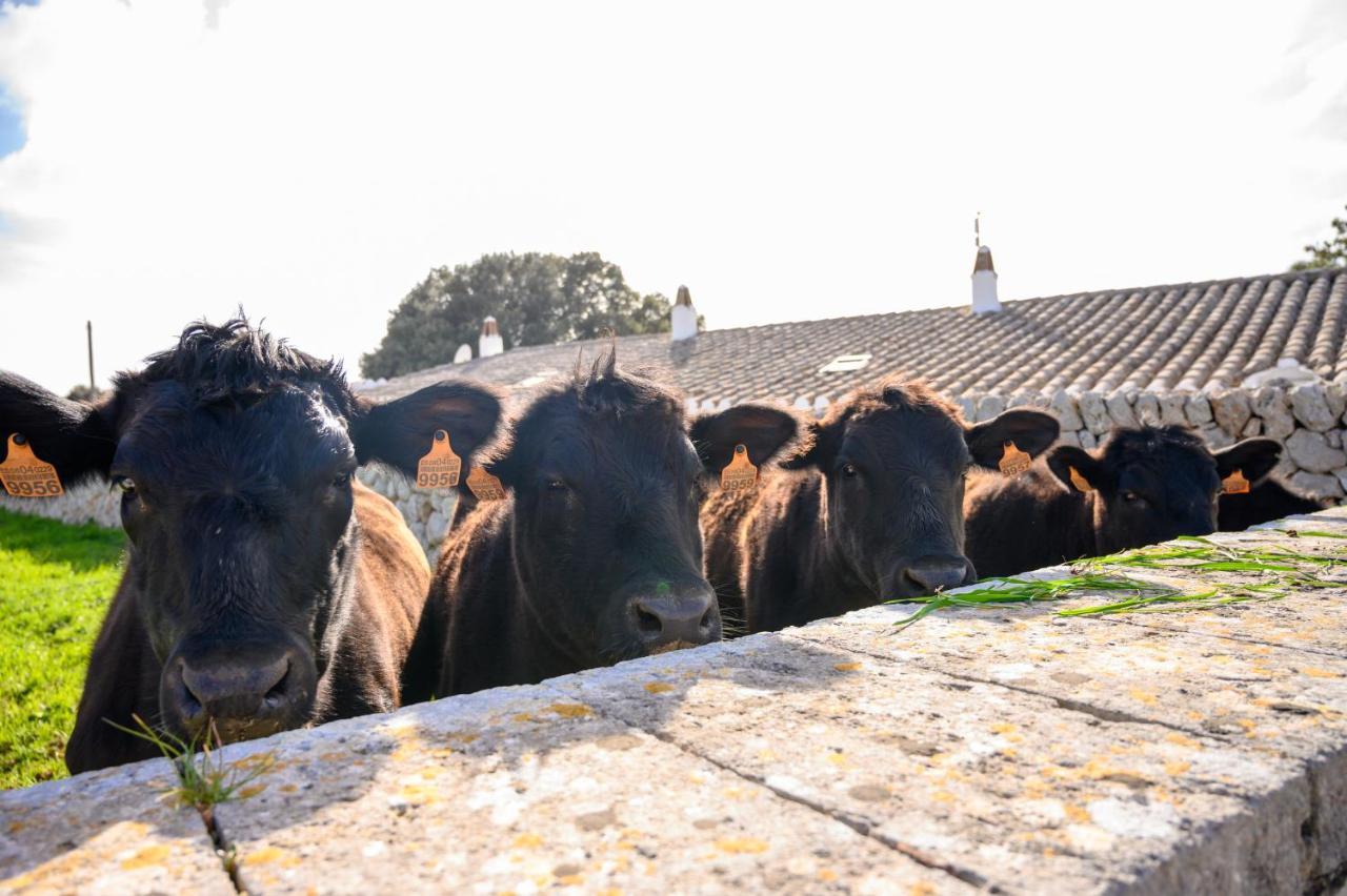 Llucmacanes Gran Agroturismo ماهون المظهر الخارجي الصورة