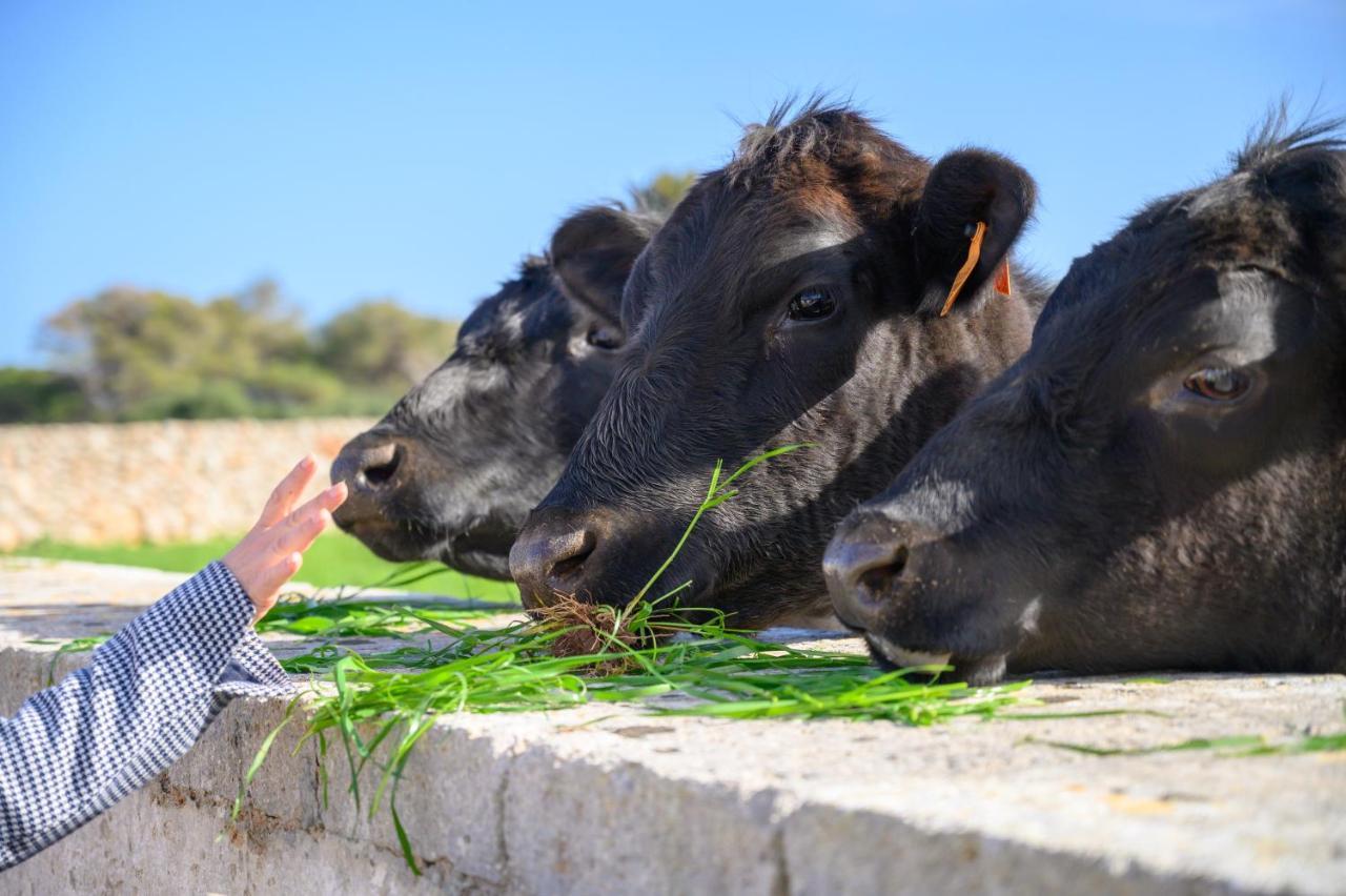 Llucmacanes Gran Agroturismo ماهون المظهر الخارجي الصورة
